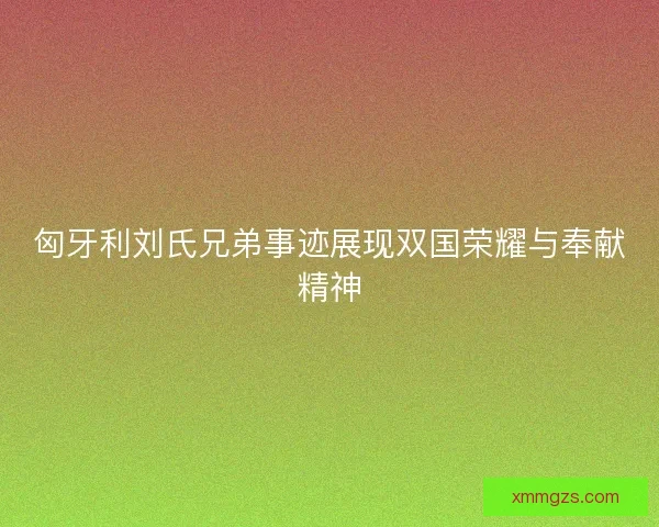 匈牙利刘氏兄弟事迹展现双国荣耀与奉献精神