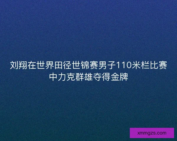 刘翔在世界田径世锦赛男子110米栏比赛中力克群雄夺得金牌