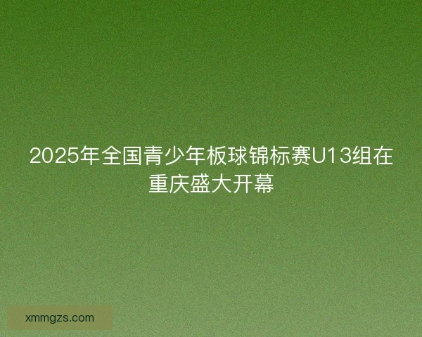 2025年全国青少年板球锦标赛U13组在重庆盛大开幕