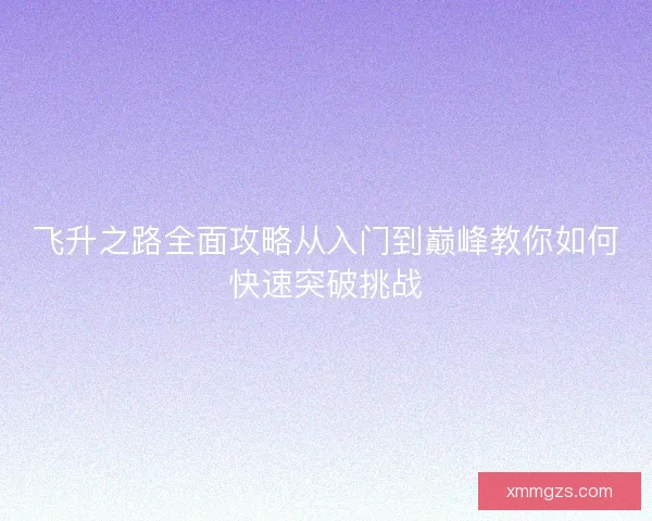 飞升之路全面攻略从入门到巅峰教你如何快速突破挑战