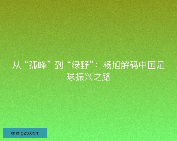 从 “孤峰” 到 “绿野”：杨旭解码中国足球振兴之路